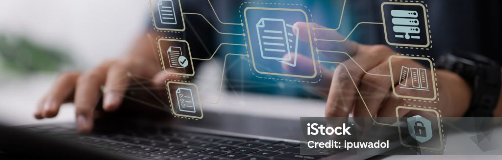 Businessperson use a computer to document management, online documentation database, and digital file storage system software, records management, database technology, file access, and doc sharing.
